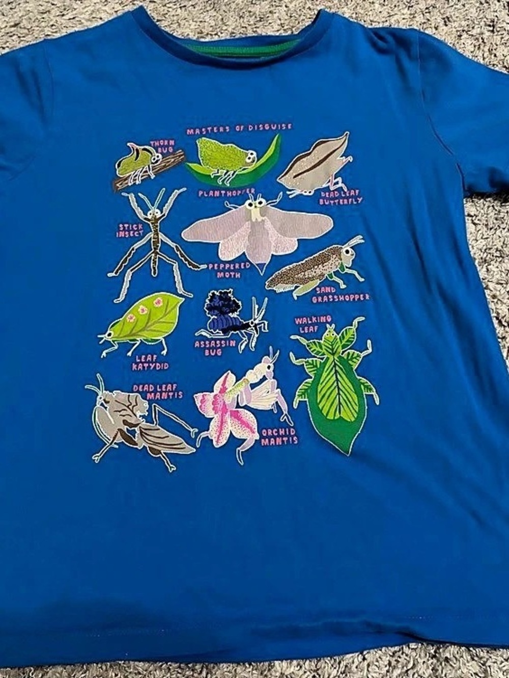 Mini Boden Kids Insect Graphic Tee Size 11-12 YRS Like New